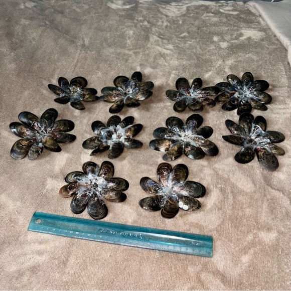 Delicate Shell Flowers - Picture 6 of 8